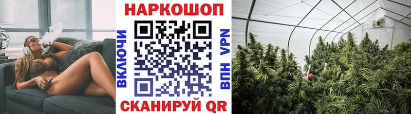 Купить ГАШ Alpha-PVP Мефедрон МАРИХУАНА КОКАИН Устюжна