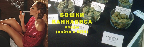 шишки Касимов