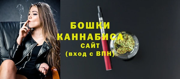 шишки Касимов