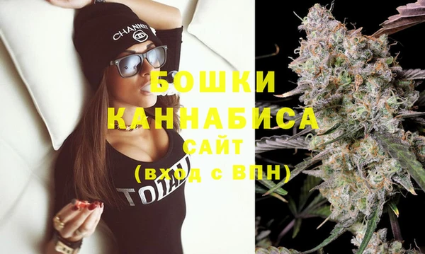 ПСИЛОЦИБИНОВЫЕ ГРИБЫ Карталы