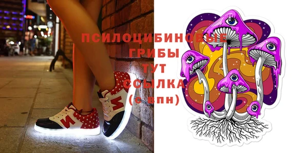 шишки Касимов