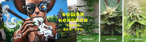 ПСИЛОЦИБИНОВЫЕ ГРИБЫ Карталы