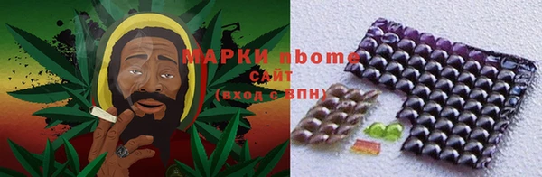 шишки Касимов