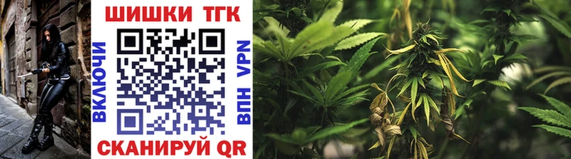 Купить закладки  Устюжна  Канабис индика 